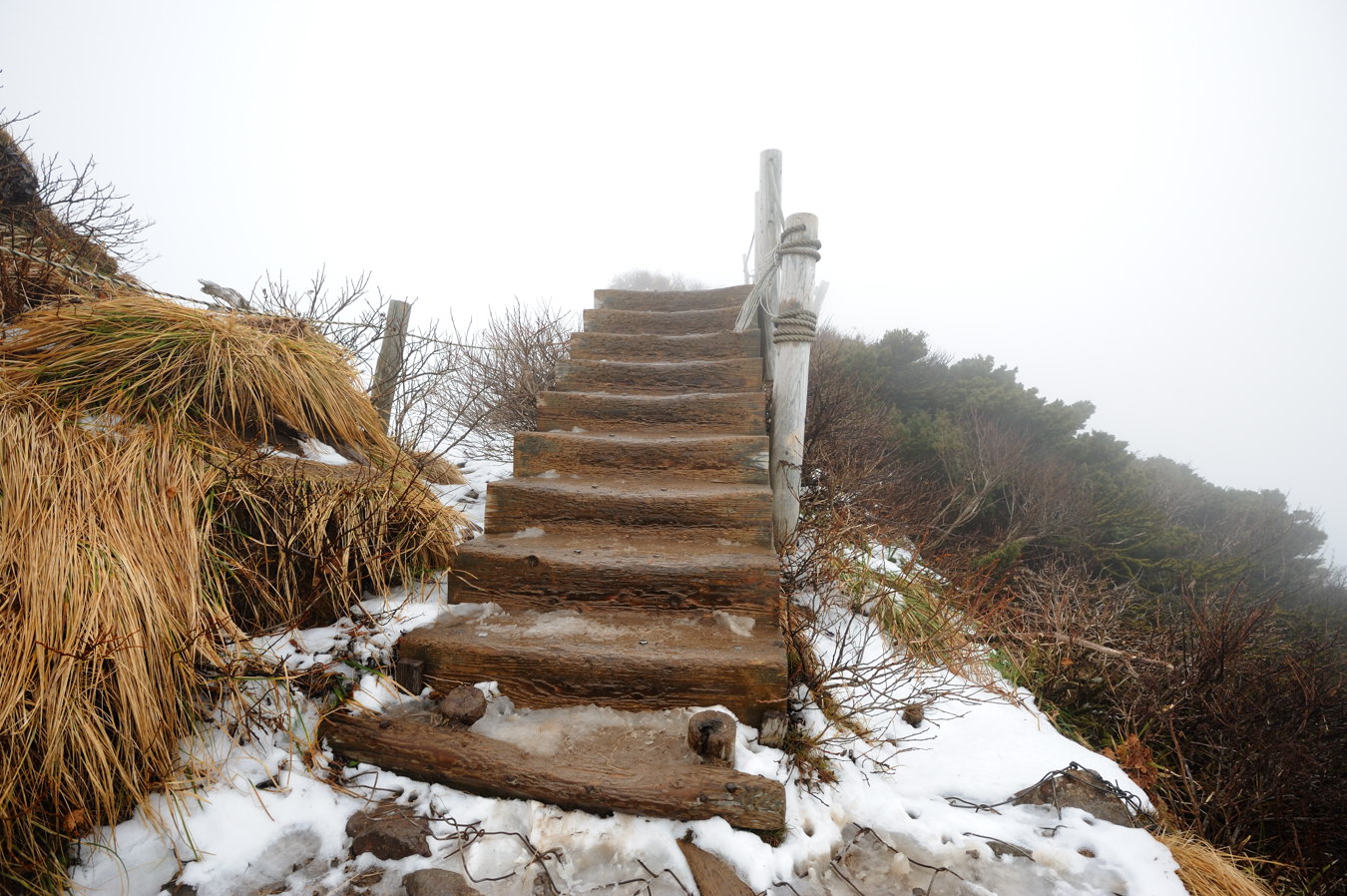 大山(弥山1709m)冬山1回目⑤_c0138991_2121185.jpg