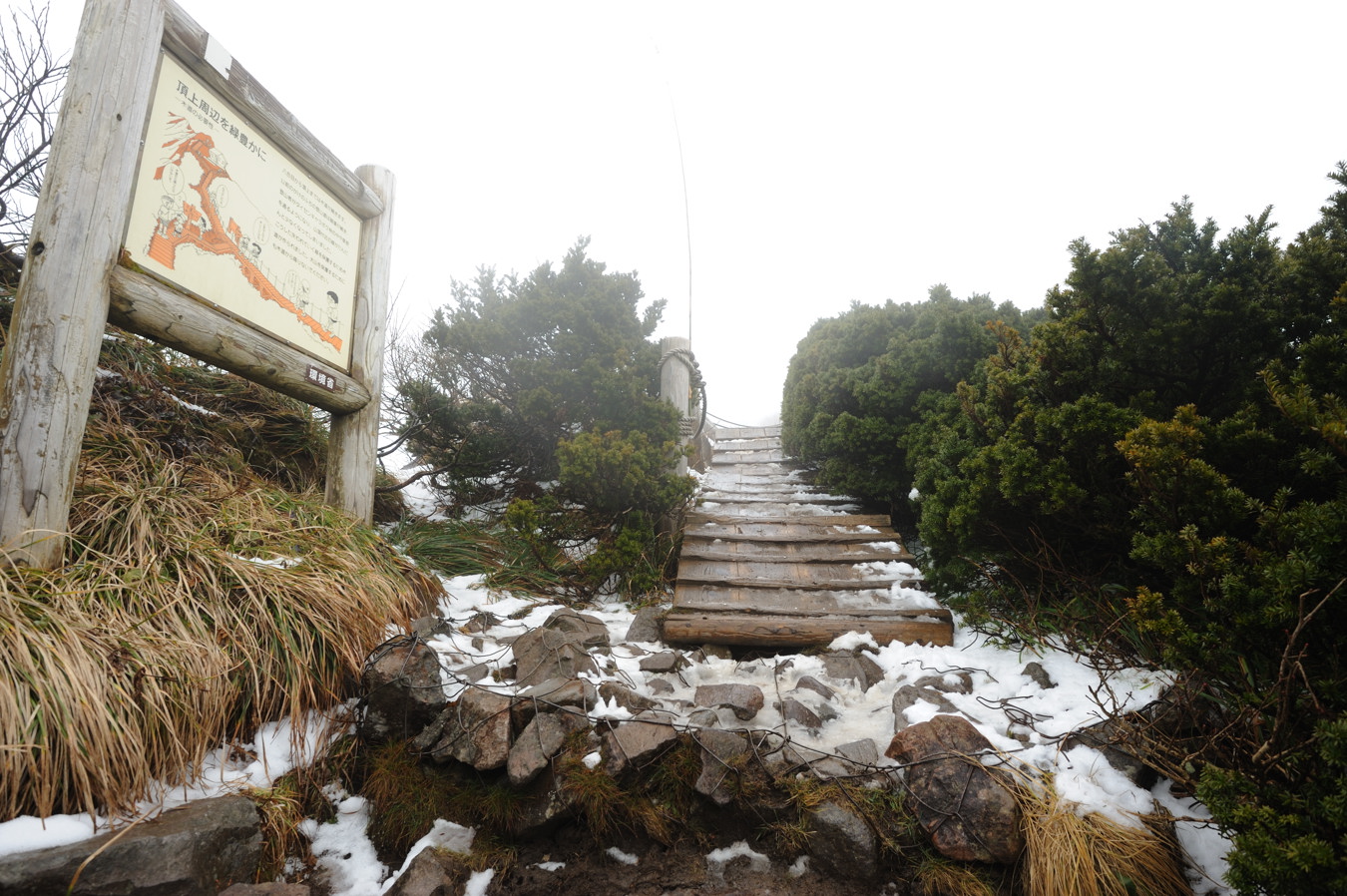 大山(弥山1709m)冬山1回目⑤_c0138991_21315839.jpg