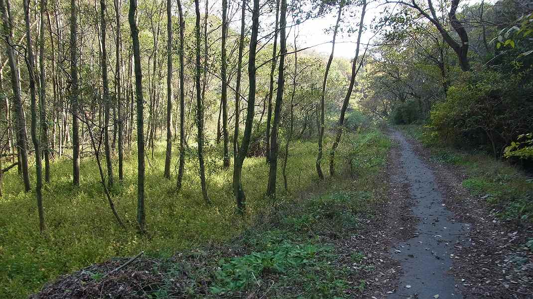 a0152692_18591848.jpg