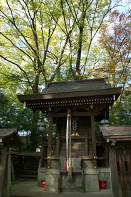 紅葉真っ只中東福寺、北野天満宮をご紹介(2/2)_d0181492_00084.jpg