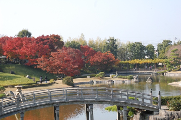 越谷 花田苑の紅葉 日々徒然に