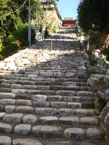 c0180096_3382743.jpg