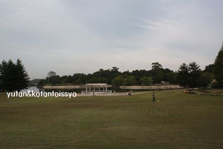 c0170700_2349456.jpg