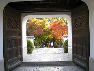 d0090001_22334387.jpg