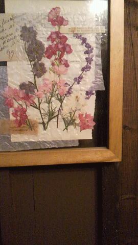 c0129702_0222862.gif