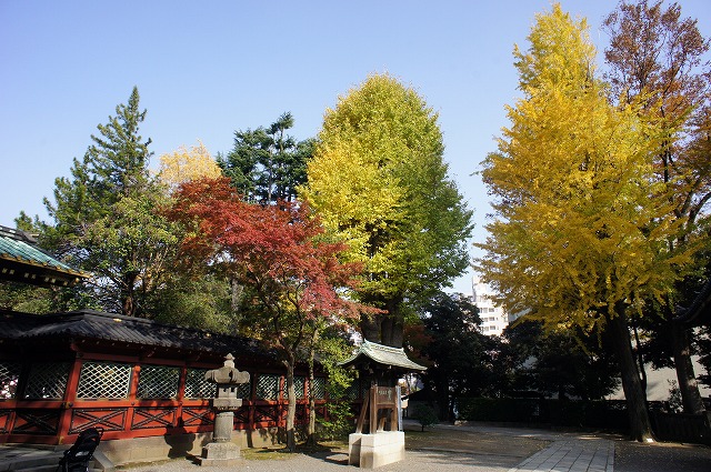 autumn leaves（東京編）_b0190603_0282522.jpg