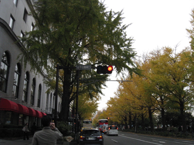 c0212604_7351442.jpg