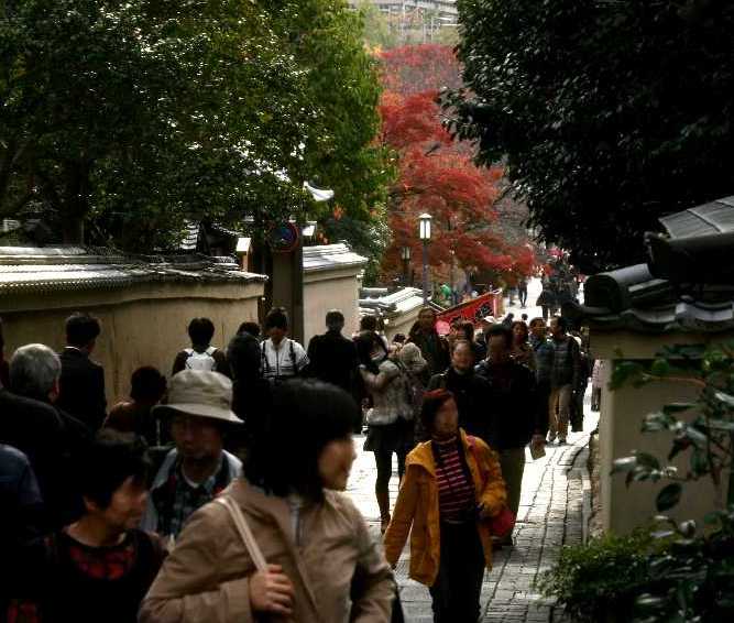 　京都・紅葉探訪　高台寺　　１２．１_d0140806_18323461.jpg