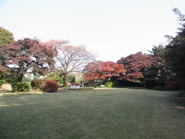 b0049307_10561226.jpg