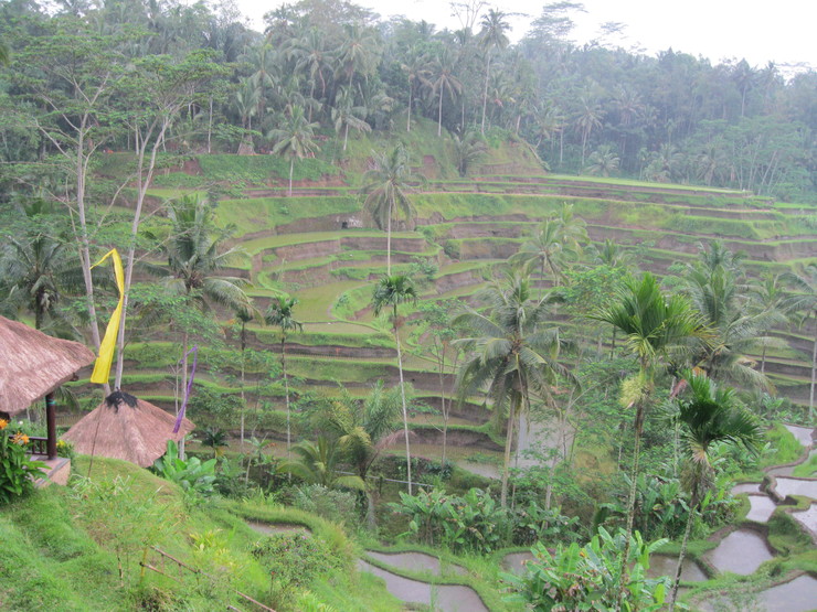 f0116707_10304252.jpg