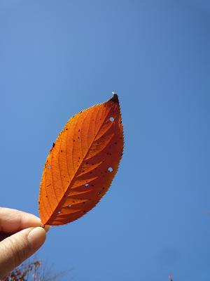 f0226208_6192865.jpg