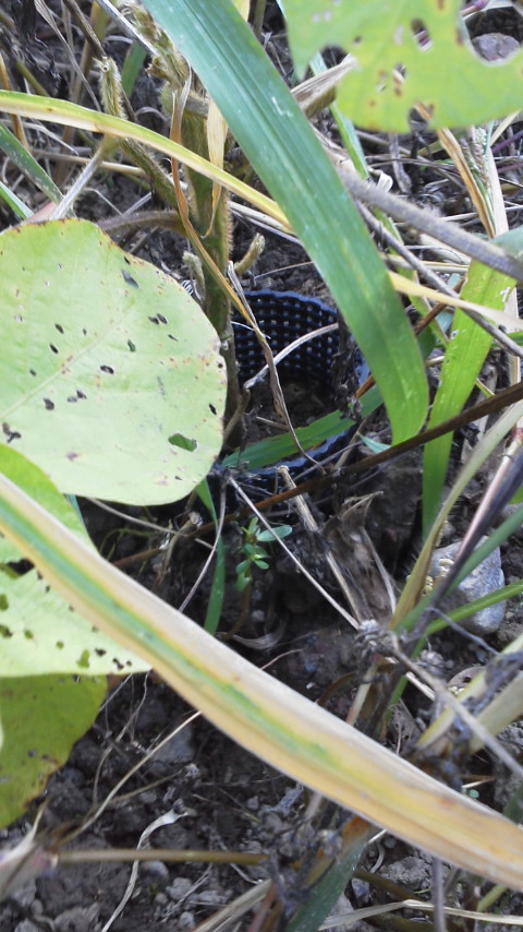 e0168109_347107.jpg