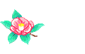 f0231709_8535753.gif