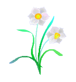 f0231709_85544.gif