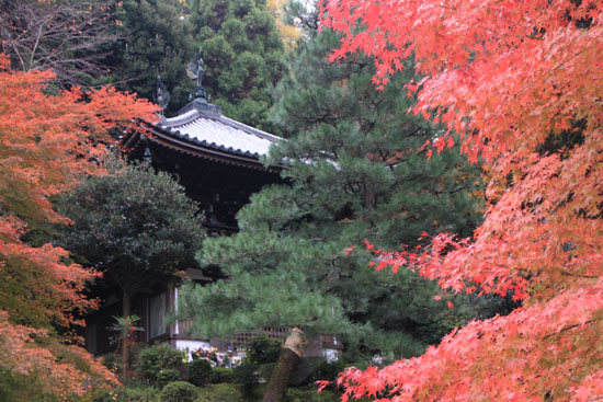 知恩院から粟田神社_e0048413_22443396.jpg