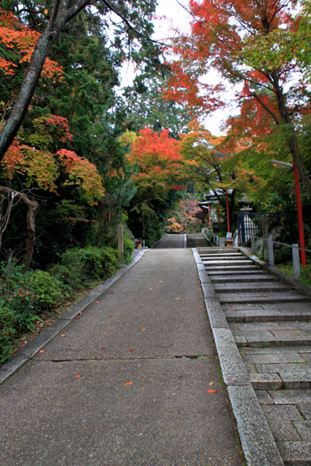 知恩院から粟田神社_e0048413_2245127.jpg