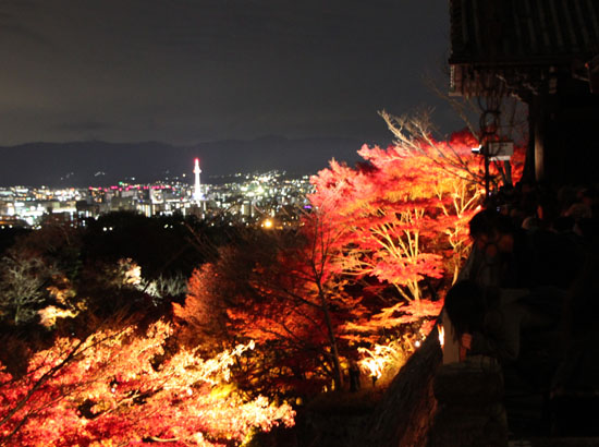 清水寺 ライトアップ_e0048413_23463489.jpg