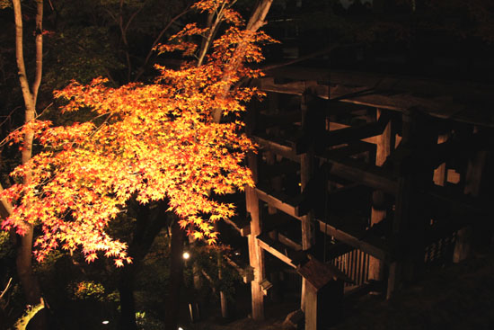 清水寺 ライトアップ_e0048413_234712.jpg