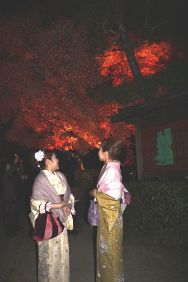 清水寺 ライトアップ_e0048413_23475892.jpg