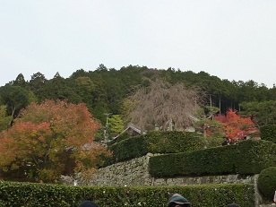 a0177314_17131850.jpg