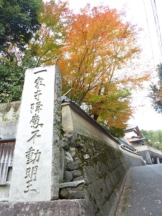 a0177314_953352.jpg