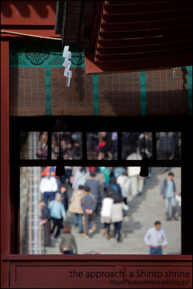 午後の参道_f0100215_22305420.jpg