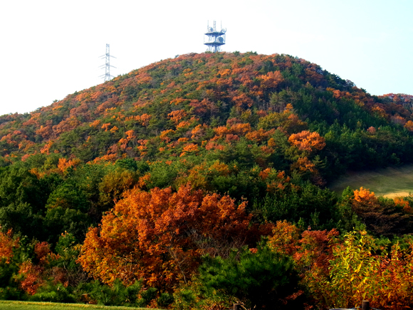 e0083517_71071.jpg