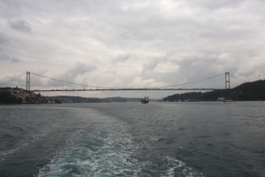 a0113718_61375.jpg