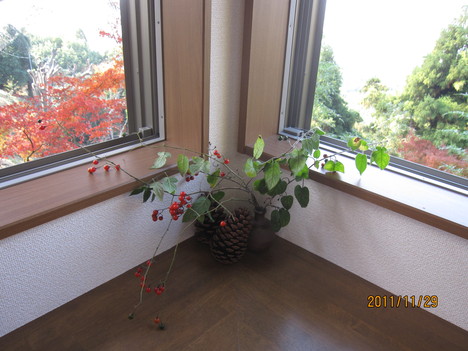 a0238019_047429.jpg