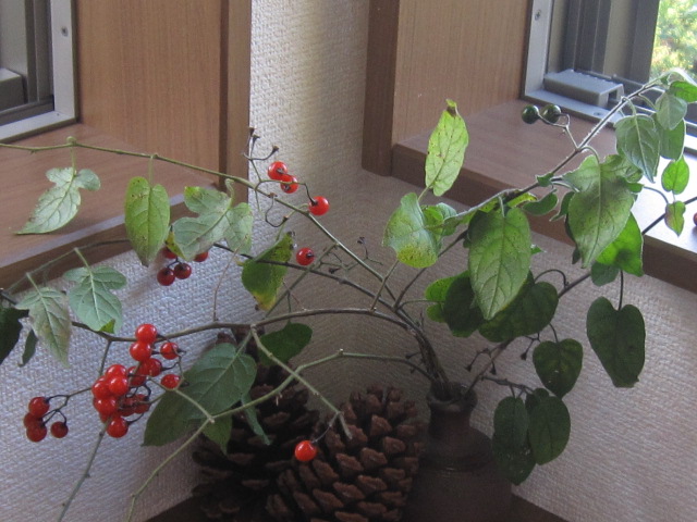 a0238019_0532299.jpg