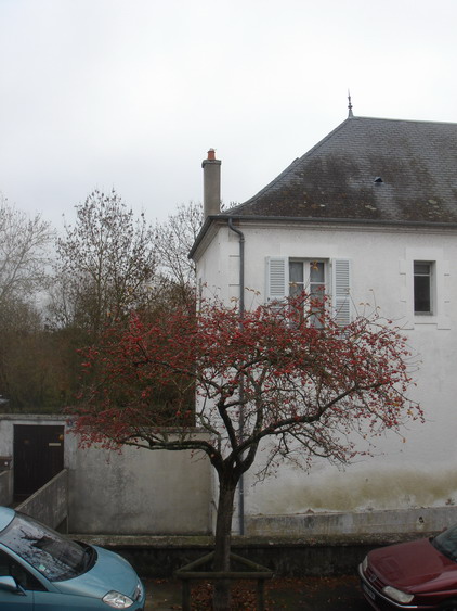 c0124619_63509.jpg