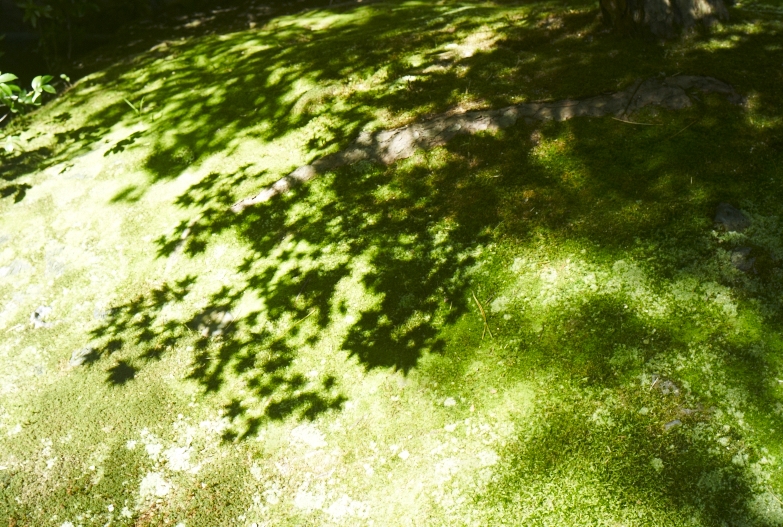 日本で一番美しい庭園_b0212922_13222499.jpg