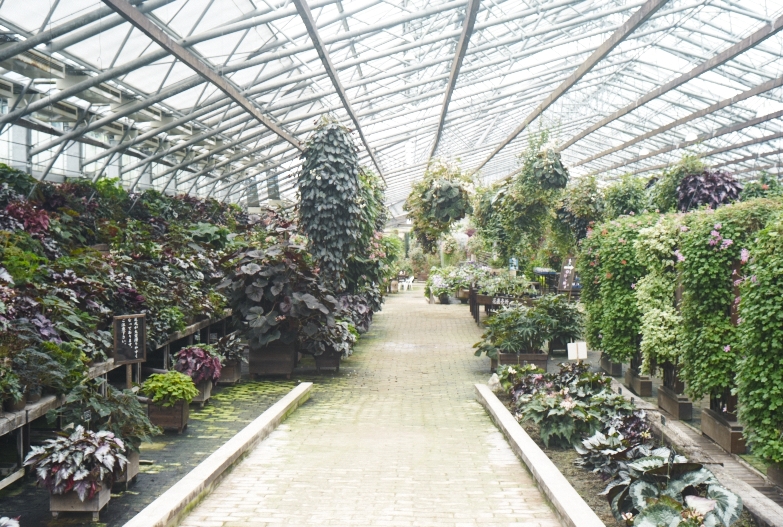 どこにいっても必ず植物園_b0212922_13494057.jpg
