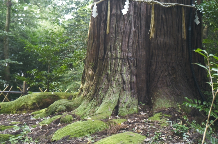 出雲の旅2011_b0212922_1411558.jpg