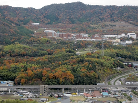 a0105023_1413999.jpg