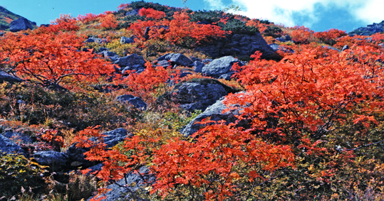 b0243324_19232032.jpg