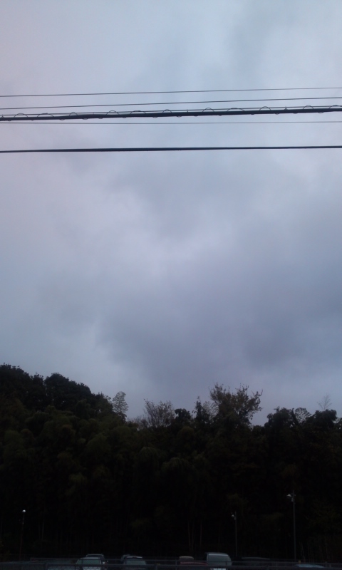 c0164227_1747834.jpg