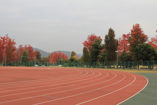 １１月３０日　岡山県総合グラウンド_a0045932_1033774.jpg