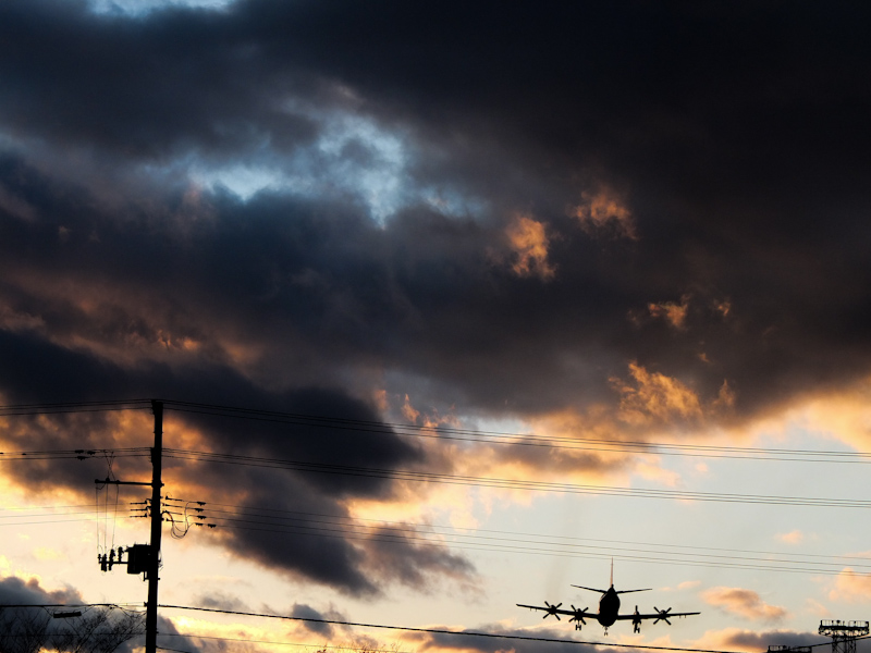 #498 空飛ぶ要塞_a0113732_2331441.jpg