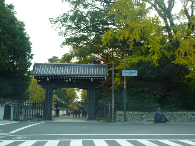 京都紅葉情報　2011　12/1　最新号！_d0106134_22212399.jpg