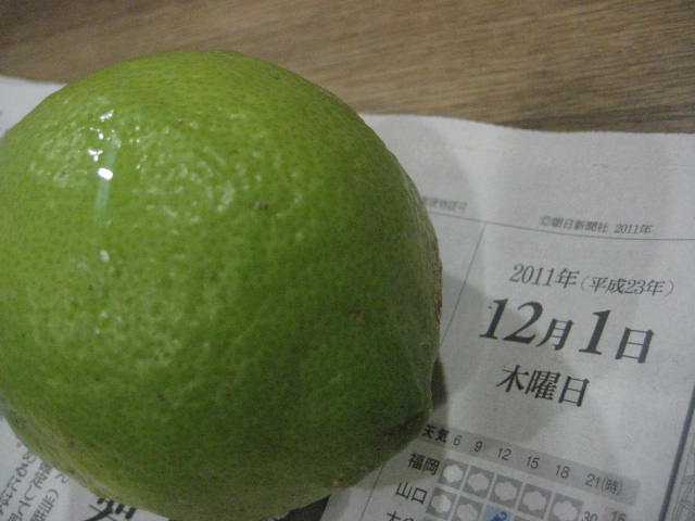 b0166435_184648.jpg