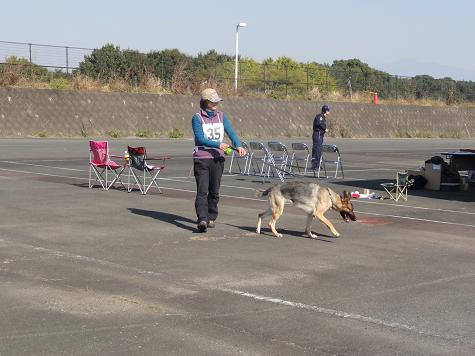 H24年度嘱託警察犬審査会③_c0127235_20245836.jpg