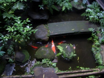 c0085539_9232793.jpg