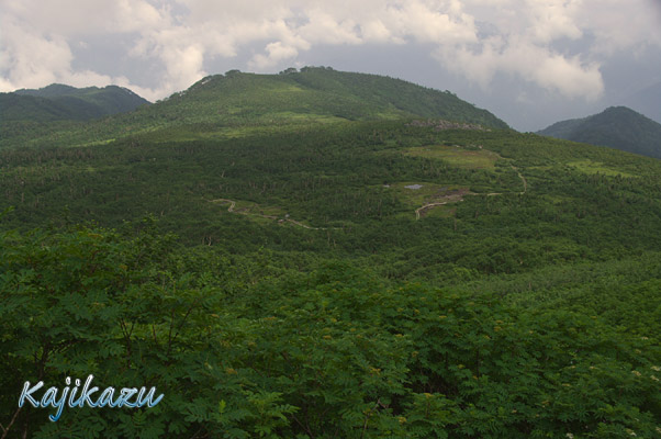 a0166940_016318.jpg
