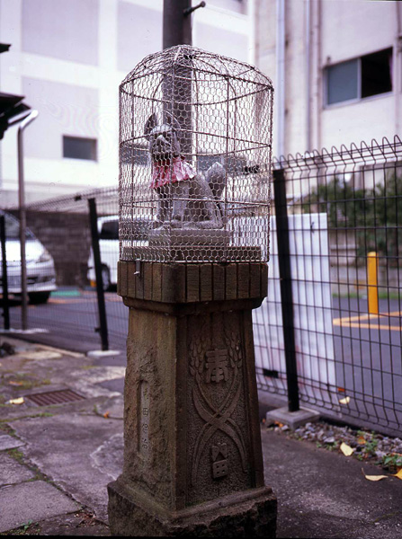 雷電稲荷神社_f0063941_1711258.jpg