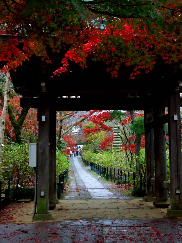 紅葉に染まる本土寺_d0166643_18495066.jpg