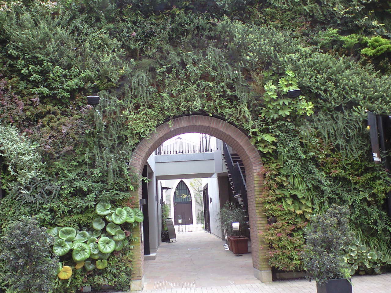 f0063944_1032074.jpg