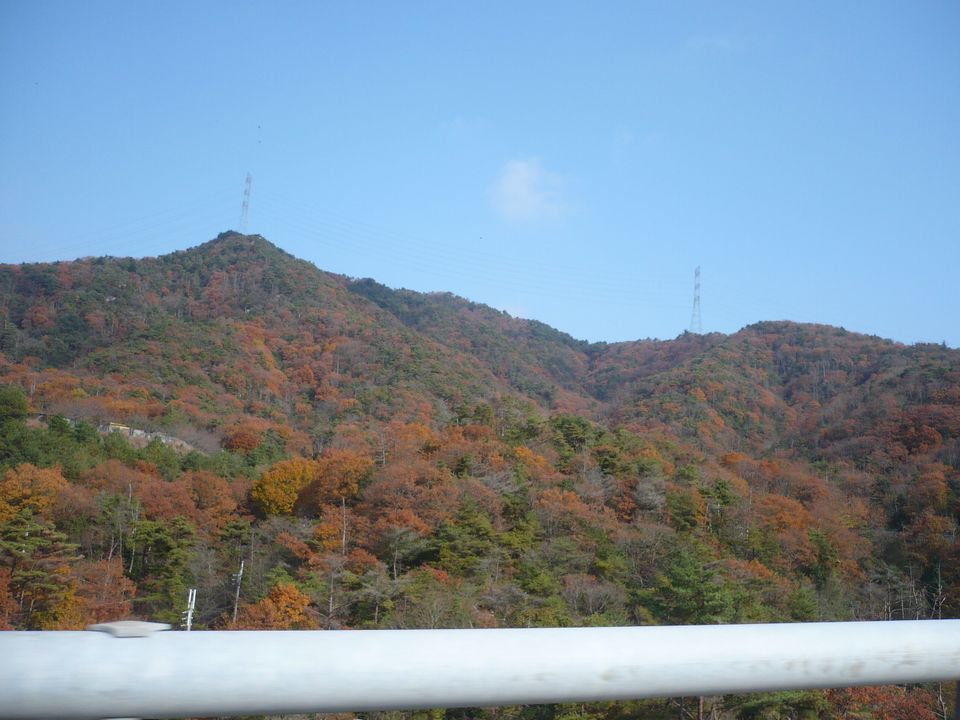 f0090444_2146323.jpg