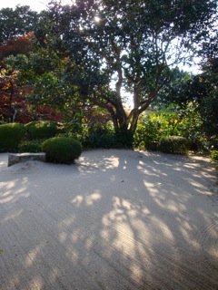 a0185748_12213100.jpg