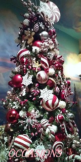 ディズニーランド　Christmas Fantasy_e0158355_16314645.jpg
